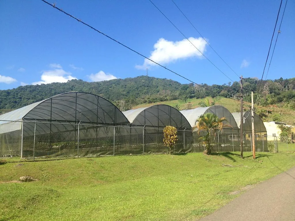 Parador Villas Sotomayor Adjuntas Puerto Rico