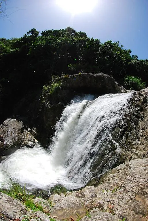 Aparthotel Parador Villas Sotomayor Adjuntas