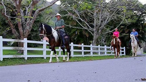 Parador Villas Sotomayor Adjuntas 2*,